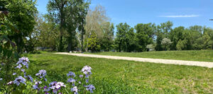 Trail use